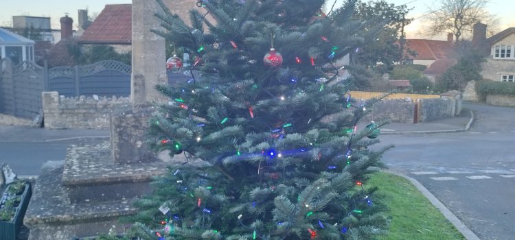 Catcott Christmas Tree 2022