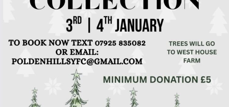 Christmas Tree Collection 🎄 
